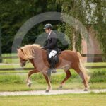 Futurity_0M8A4291