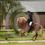 Futurity_0M8A4306