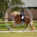 Futurity_0M8A4307