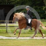 Futurity_0M8A4308