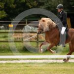 Futurity_0M8A4312