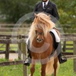 Futurity_0M8A4331