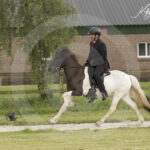 Mee_Hestar_7-7-2024-0M8A4079