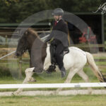Mee_Hestar_7-7-2024-0M8A4084