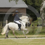 Mee_Hestar_7-7-2024-0M8A4229