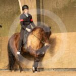 Alfsengi_maart_0M8A7690