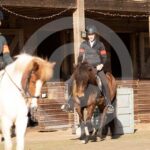 Alfsengi_maart_0M8A7715