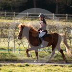 Alfsengi_maart_0M8A7842
