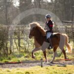 Alfsengi_maart_0M8A7850