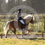 Alfsengi_maart_0M8A7869