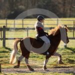 Alfsengi_maart_0M8A7878