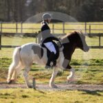 Alfsengi_maart_0M8A7884