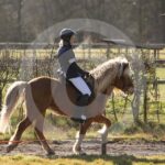 Alfsengi_maart_0M8A7886