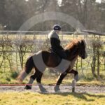 Alfsengi_maart_0M8A7906