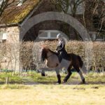 Alfsengi_maart_0M8A7909