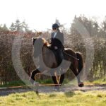 Alfsengi_maart_0M8A7935