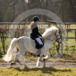 Alfsengi_maart_0M8A7977