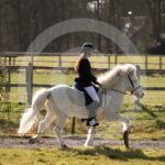 Alfsengi_maart_0M8A7979