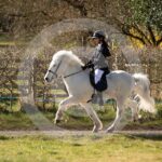 Alfsengi_maart_0M8A8018