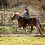 Alfsengi_maart_0M8A8023