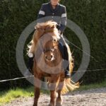 Alfsengi_maart_0M8A8038