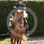 Alfsengi_maart_0M8A8041