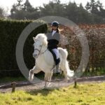 Alfsengi_maart_0M8A8064