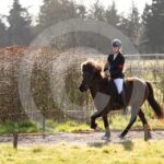 Alfsengi_maart_0M8A8074