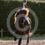 Alfsengi_maart_0M8A8076