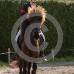 Alfsengi_maart_0M8A8078