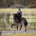 Alfsengi_maart_0M8A8093