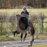 Alfsengi_maart_0M8A8097