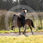 Alfsengi_maart_0M8A8136