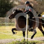 Alfsengi_maart_0M8A8153