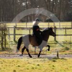 Alfsengi_maart_0M8A8159