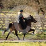 Alfsengi_maart_0M8A8164