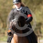 Alfsengi_maart_0M8A8173