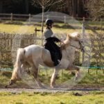 Alfsengi_maart_0M8A8179