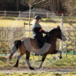 Alfsengi_maart_0M8A8183