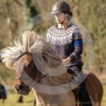 Alfsengi_maart_0M8A8186