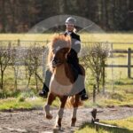 Alfsengi_maart_0M8A8190