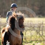 Alfsengi_maart_0M8A8198