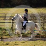 Alfsengi_maart_0M8A8202