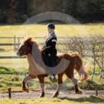 Alfsengi_maart_0M8A8207