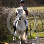 Alfsengi_maart_0M8A8210