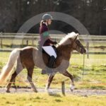 Alfsengi_maart_0M8A8231