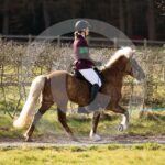 Alfsengi_maart_0M8A8234