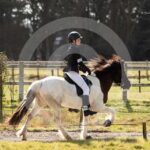 Alfsengi_maart_0M8A8239