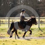 Alfsengi_maart_0M8A8250