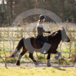 Alfsengi_maart_0M8A8252